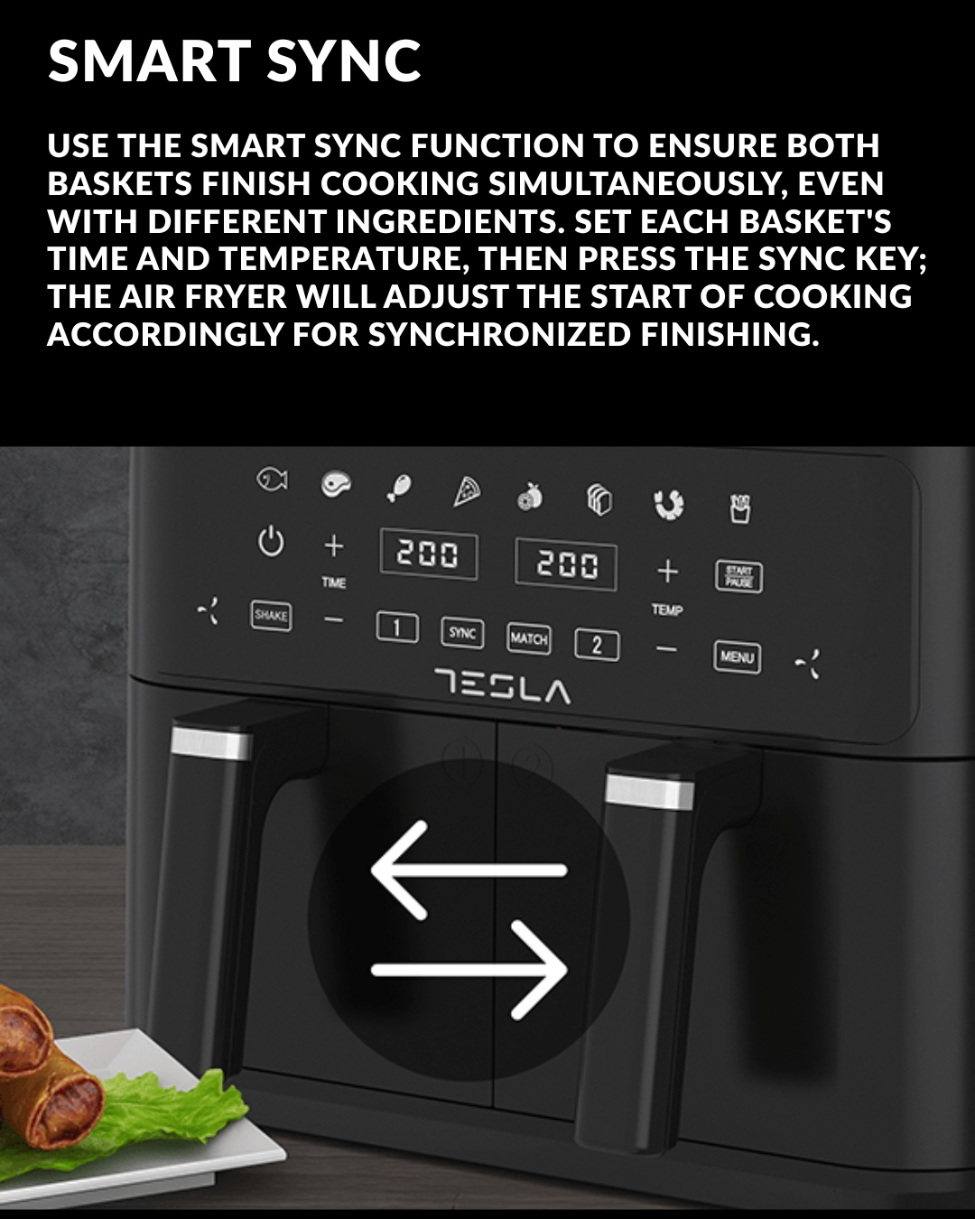 Tesla 9l dual airfryer