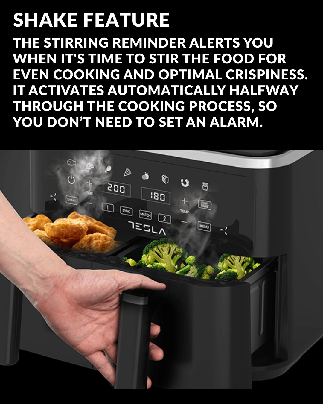 Tesla 9l dual airfryer