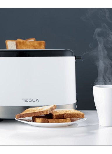 Tesla Toasters – TS300BWX